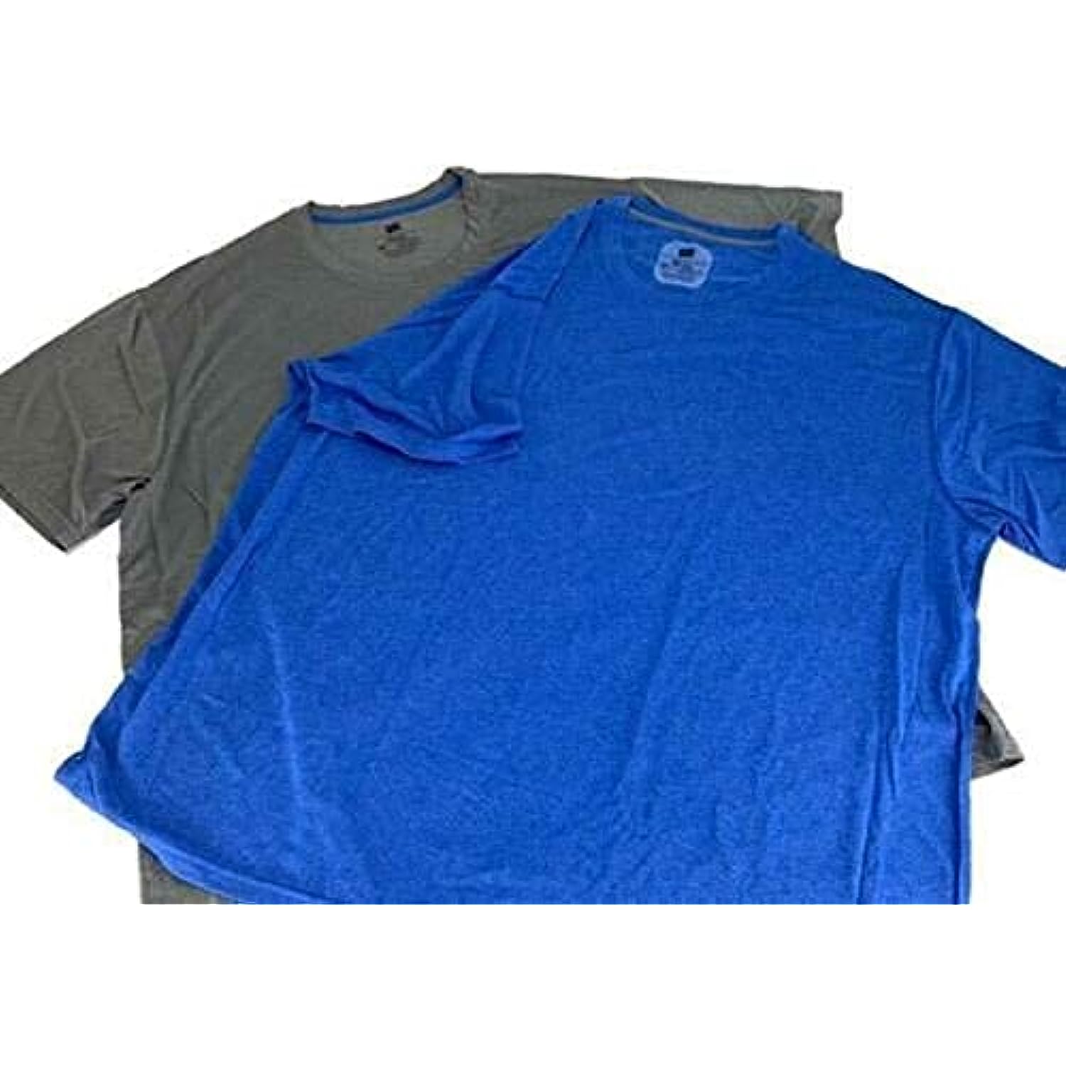Hanes Mens X-Temp Performance Cool Tagless Crew T-Shirts, Size Large, 2 Pack Grey/Royal Blue�