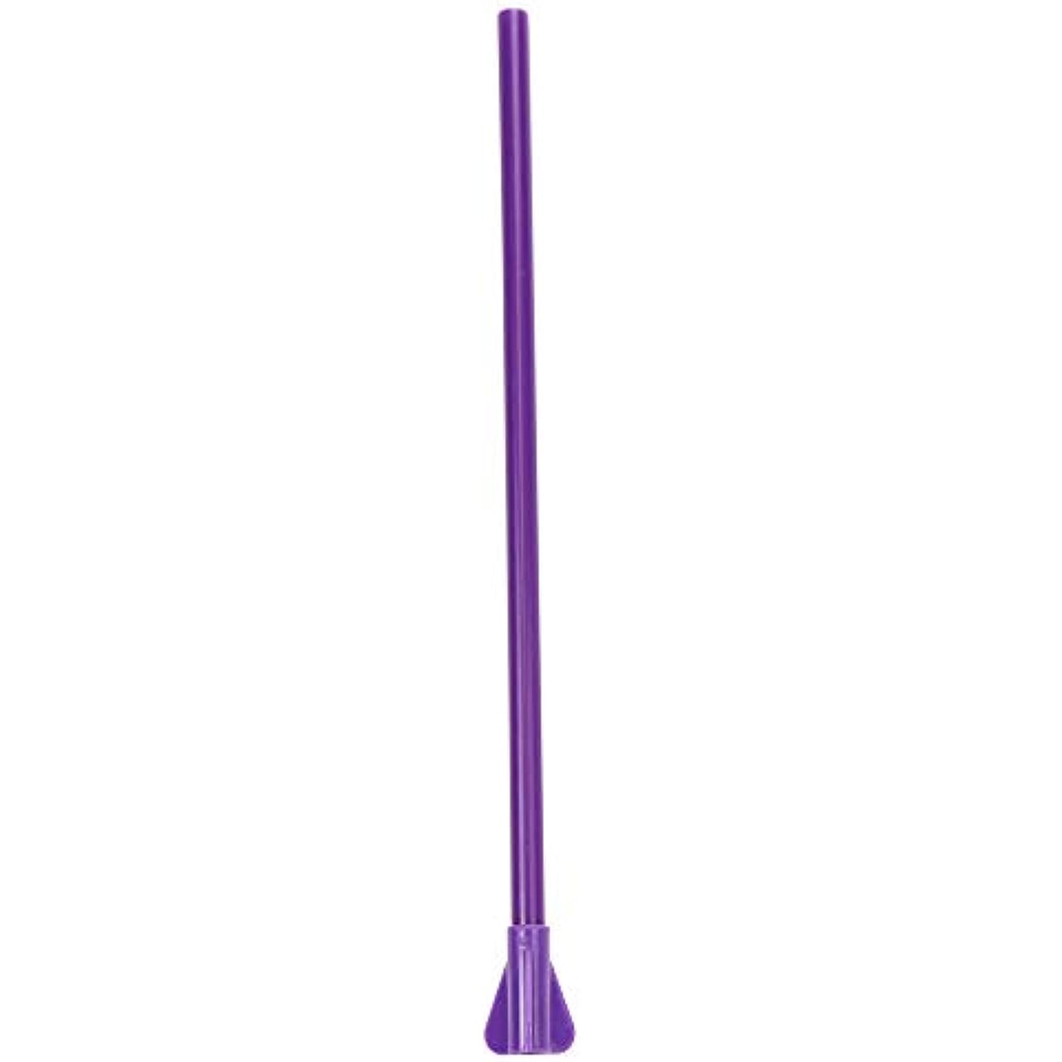 Boelter NCAA Hype 22oz Large Tumbler with Straw 2-Pack (Washington Huskies)