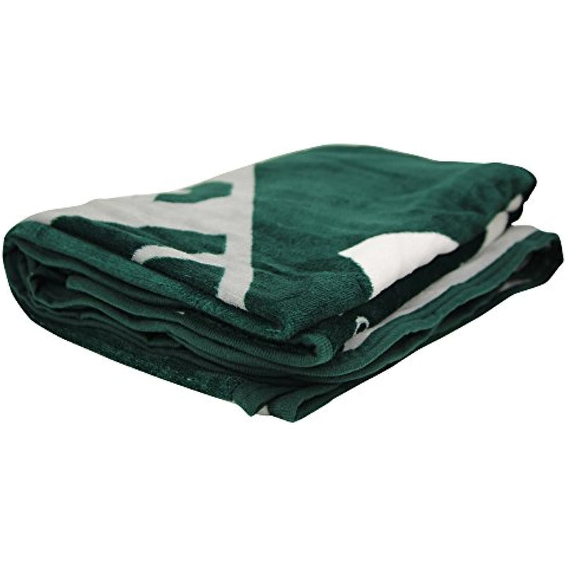 Northwest NCAA Michigan State Spartans Unisex-Adult Micro Raschel Throw Blanket, 46" x 60", Halftone